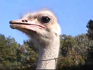 voyage en CC sept 2010 011 02