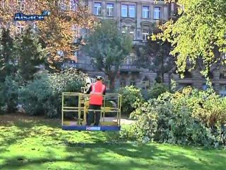 Strasbourg chérit ses arbres!