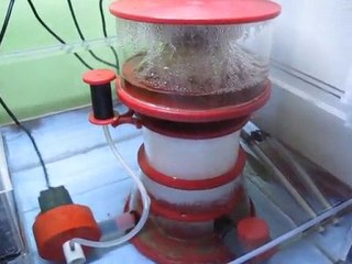 Protein Skimmer