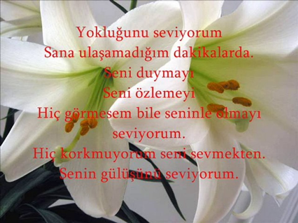 korkmuyorum seni sevmekten