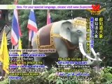 Pupia - Little Elephant, Big Story