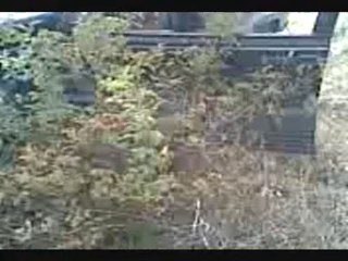 MülkEkim2010-Yol dışı keşif gezisi 4