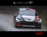 Rallye de France - Alsace - Grand National 2010