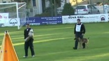 FCI-Quali-2011-GRUBER/Apollon - Schutz