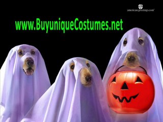 batman and robin halloween costumes