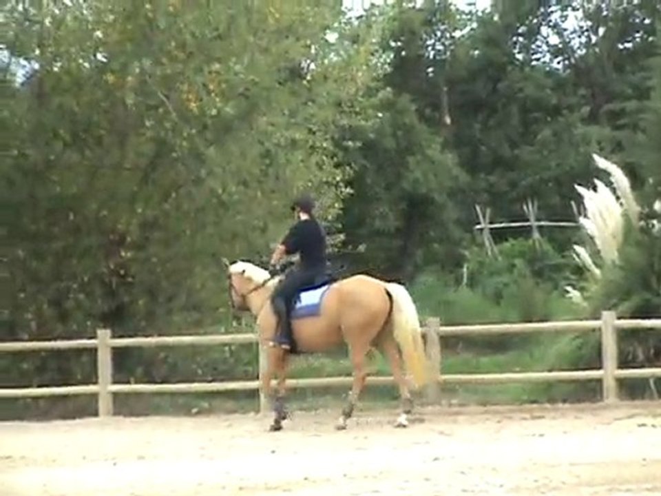 qumba et lyly la rouviere