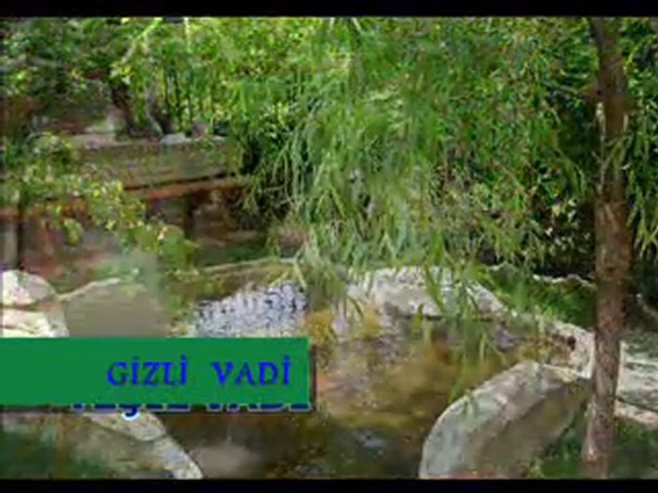 gizli vadi bursa canlı alabalık