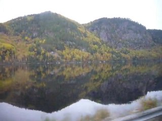 v050- Paysage et forêts à perte de vue
