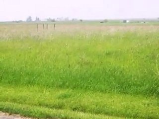 Homes for Sale - Lot138 Tamarind Court - Stelle, IL 60917 -