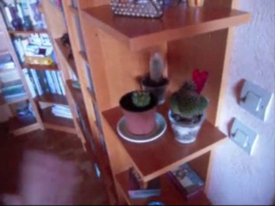 Bonus Track : Murphy Magical Tour J10