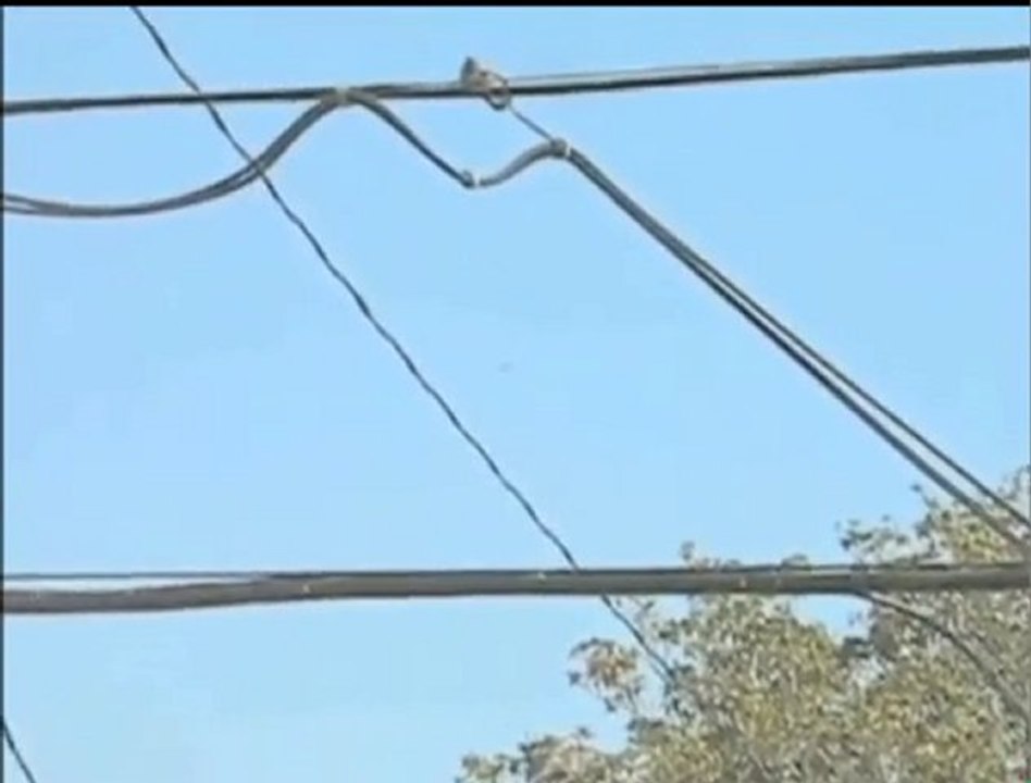 UFO footage ( United States)