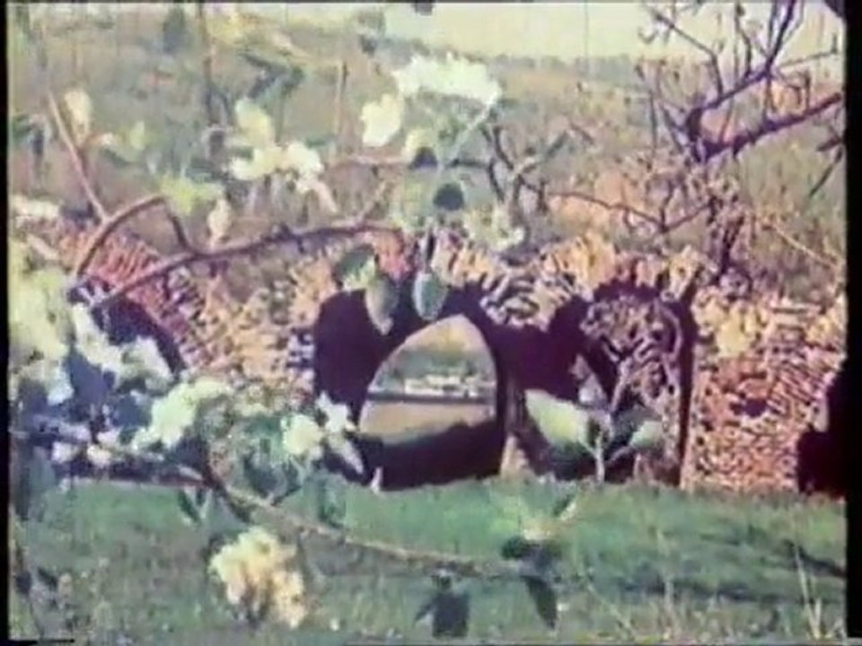 Ada Kaleh, part-2