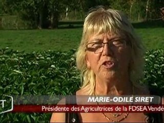 Légion d’honneur : Marie-Odile Siret récompensée (Vendée)