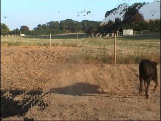 XT8 SUR PISTE HOME MADE