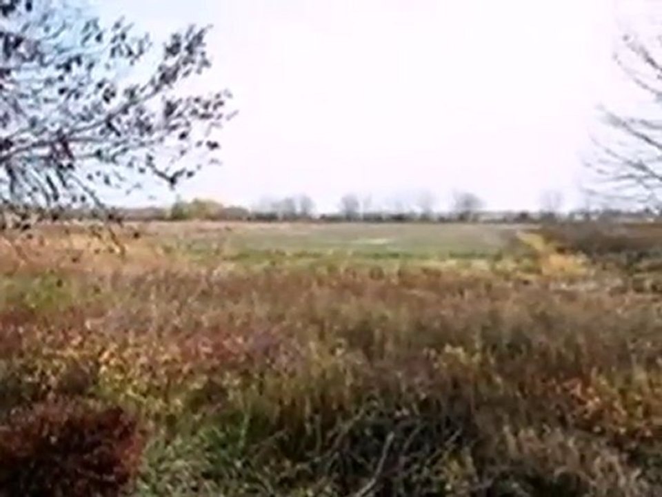 Homes for Sale - 0  Chicory Rd - Mount Pleasant, WI 53403 -