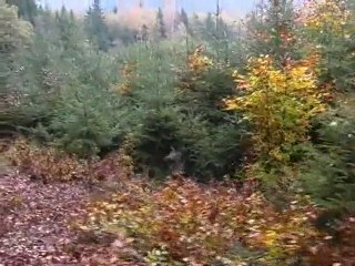à la rencontre de Thierry Toussaint, chasseur d'images