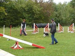Chupa agility Régionale de Louvières 10/10/2010