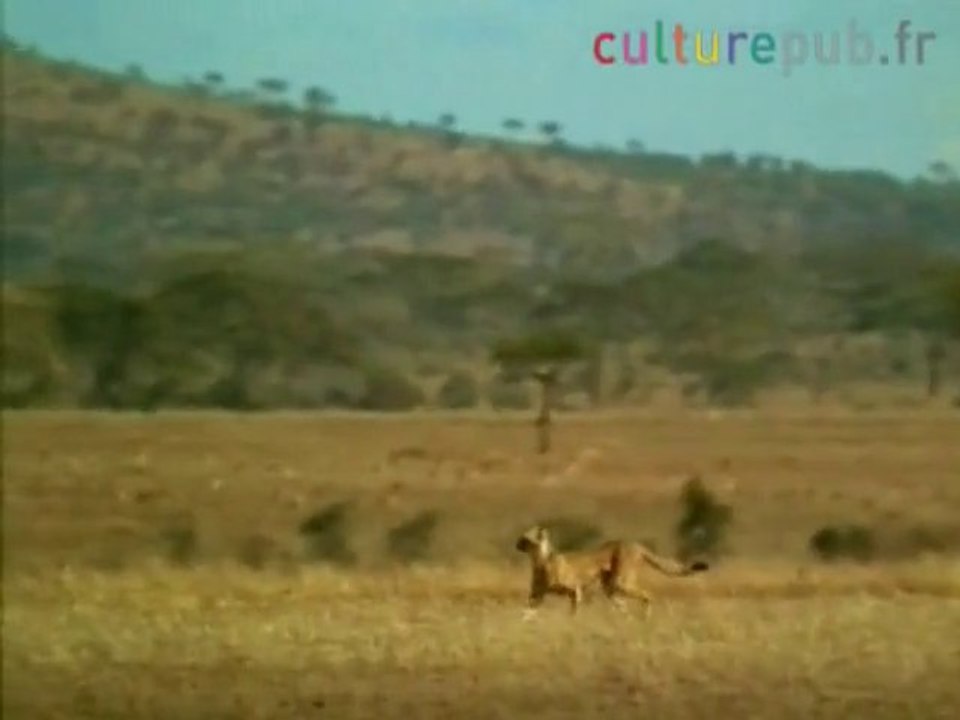 Le plus grand prédateur / Charal.