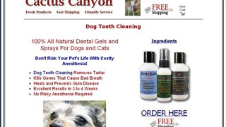 Dog Teeth Cleaning: #1 Tip!