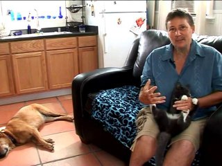 Exclu réalisatrice vidéo "suprised kitty" - Femme à barbe !