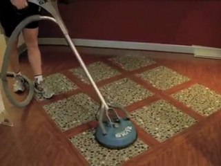 Pest Control Cleveland Bennetts Property Services QLD