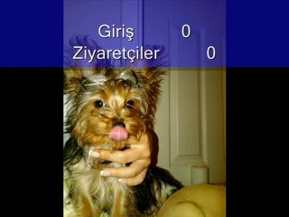 ABLA ÖZÜR DİLERİM KÜBRA ABOM