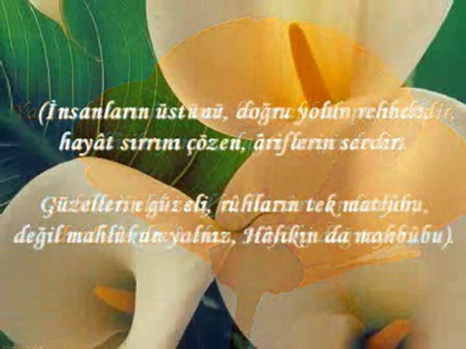 İkinci binin müceddidi