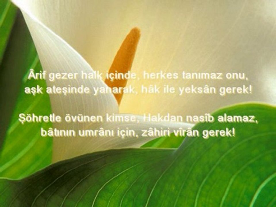 Bir Hazinedir Tasavvuf