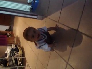 justin 4pattes