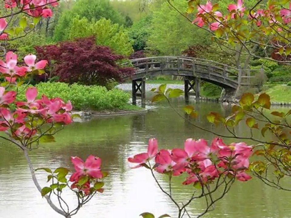 Beautiful monster digital effects