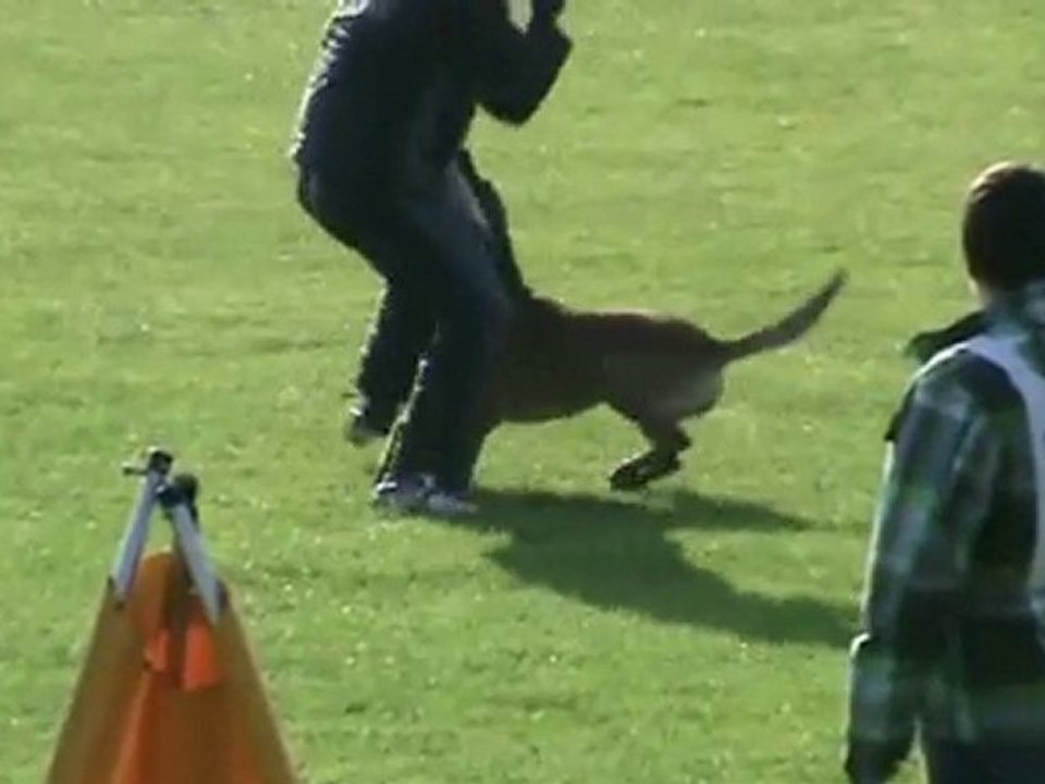 FCI-Quali-2011-SCHRIEFL/Greta-Schutz