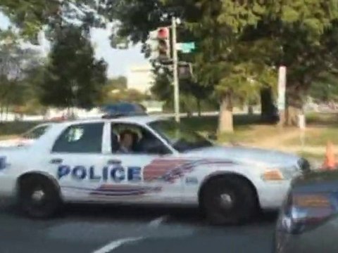 SNTV - Shia LaBeouf pops off