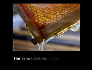 Karacaköy Nur Mektebi-MERHAMET