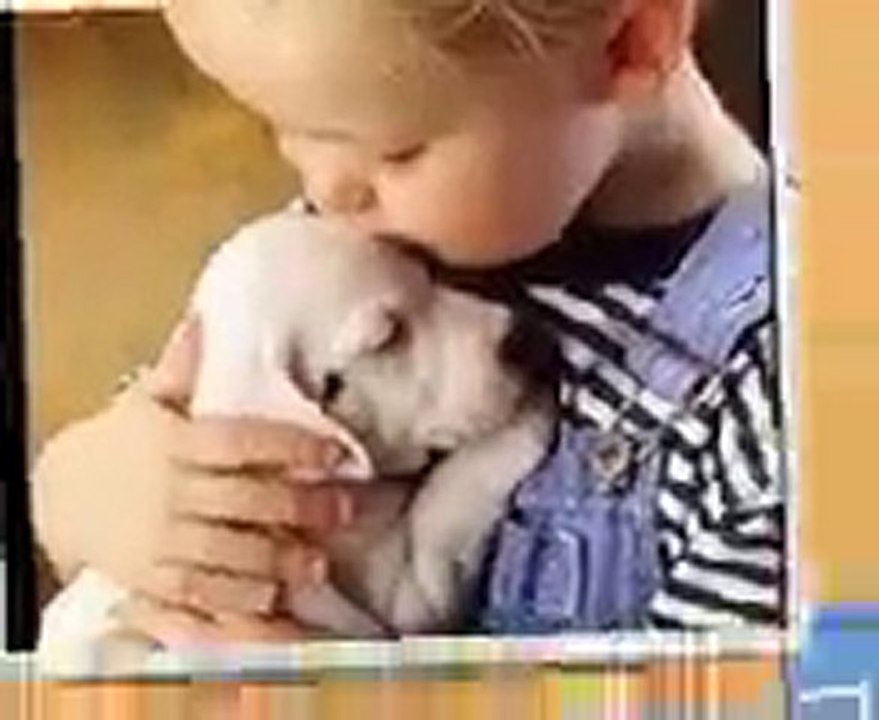 ANIMAL LOVE