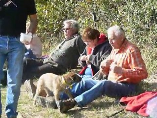 Le bonheur est dans le pré !