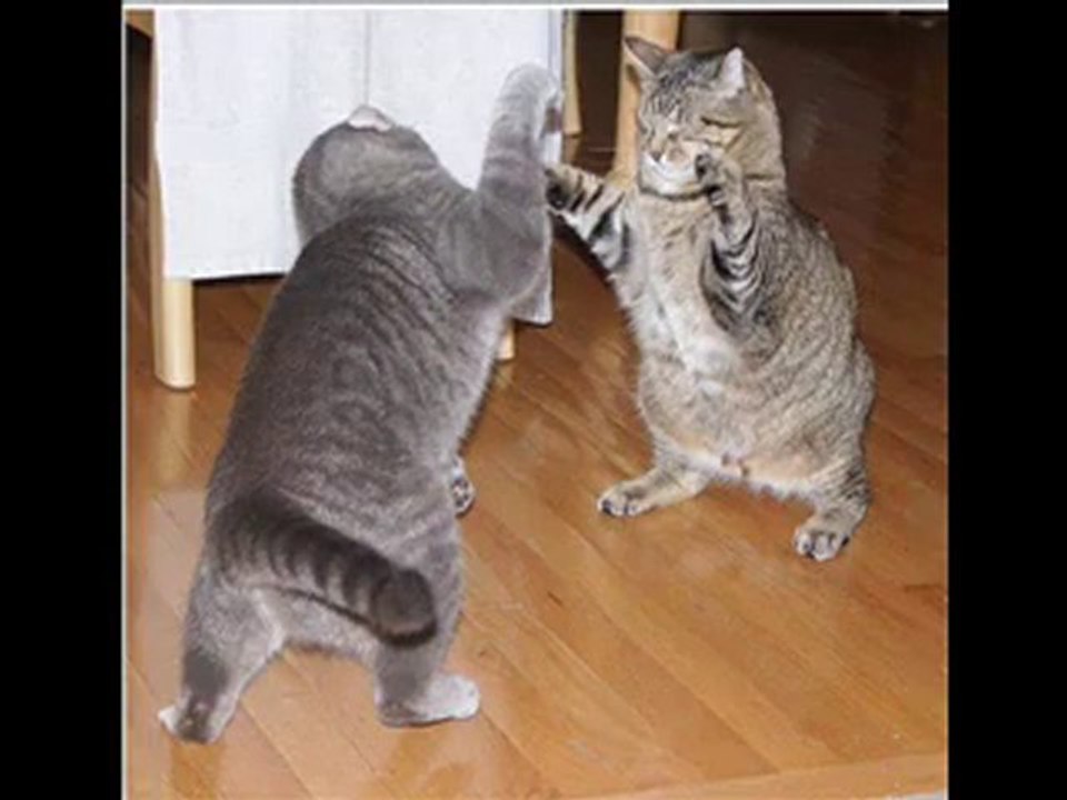 Für Maria mein Schatz (jetzt Ex)