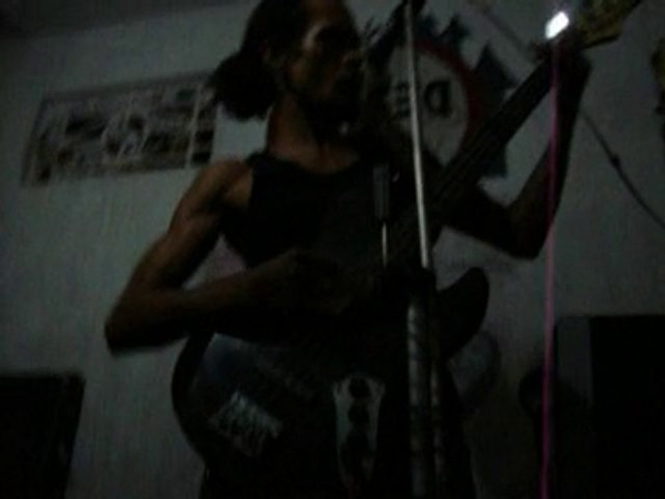 ENSAYO CON CARNIFICIAL