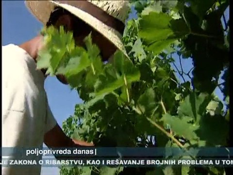 Poljoprivreda danas 15.10.2010.