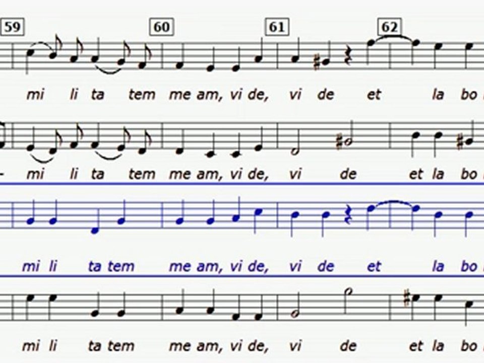 Tribulationes cordis mei (M HAYDN) Ténor