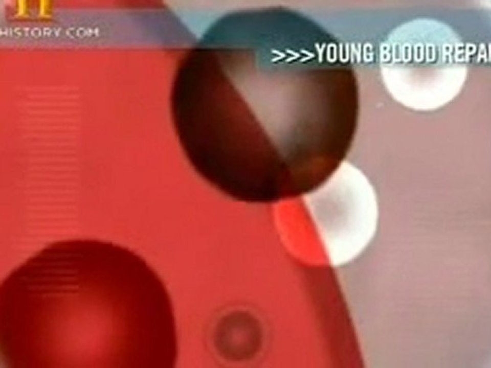 History Channel - Vida Eterna [3/3]