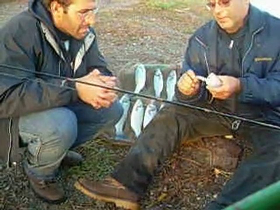 Levrek Avı Sea Bass Fishing
