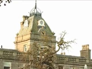 Don't Kill My Fake Baby ~ el laberinto de Raúl Ruiz