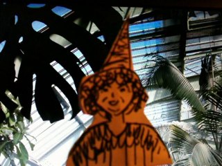 Harry Potter à Montpellier - Le cour de botanique