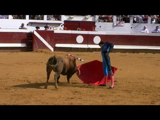 11.09.10 Dax  Les Photos du 2ème Taureau avec J D Garzon