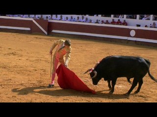 11.09.10 Dax Les Photos du 3ème Taureau avec Roman Valence