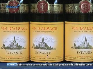 Les alsaciens favorisent ils les vins de leur région?