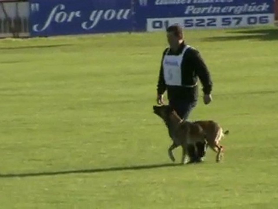 FCI-Quali-2010-GRUBER/Apollon-UO