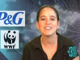 CSRminute: P&G partners with WWF for Sustainability Strategy