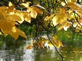 Autum in Deutschland