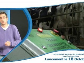 Marché à terme du lait